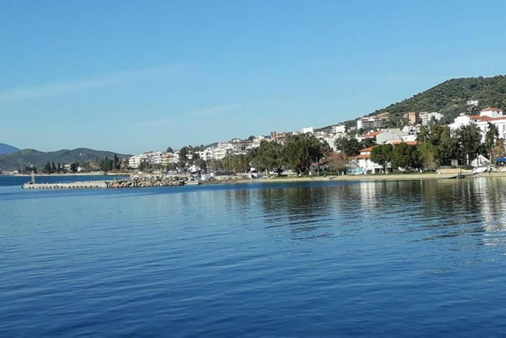 Amazing Sea View-Neos Pyrgos Beach -Evoia Greece Neos Pirgos Exterior foto